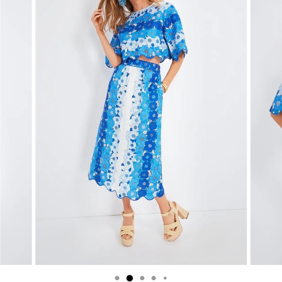 FARM Rio Dresses & Skirts - LIKE NEW FARM RIO Blue and White Floral Women's Skirt